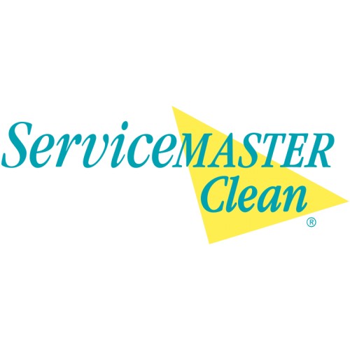 Carpet Cleaning for entire home (up to 1000 Sq. Ft. of Carpet)