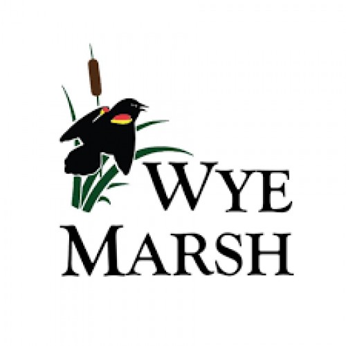 Wye Marsh Family Membership for 2 adults and up to 5 children + a Little Birder Kit