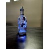 Illuminated Glass Bottle