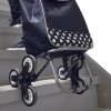 3-Wheeled Shopping Cart to help get groceries up stairs